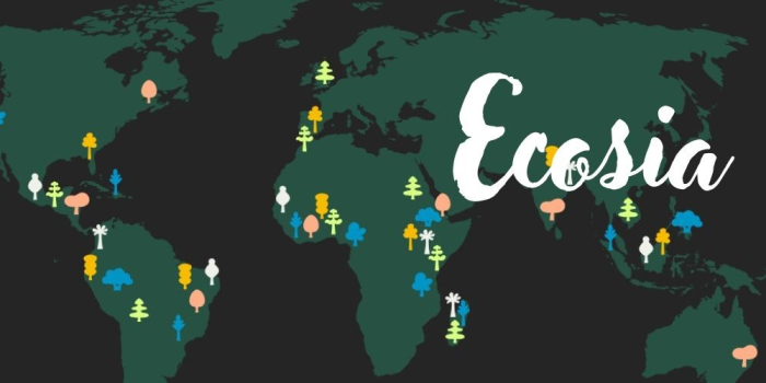 Ecosia Expands Green Initiative with Innovative Browser