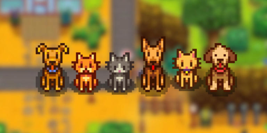 Pets in game